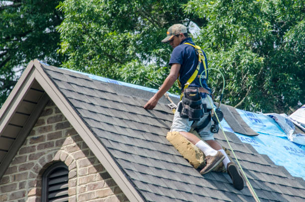 Roof Waterproofing Services in Jonesboro, IL